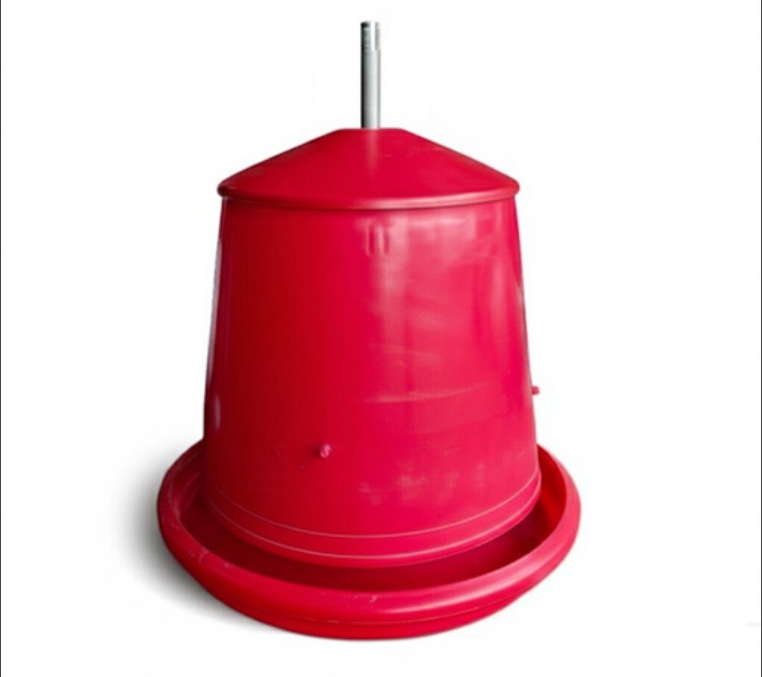 MANGEOIRE DINDO TAY DA 10 A 12KG